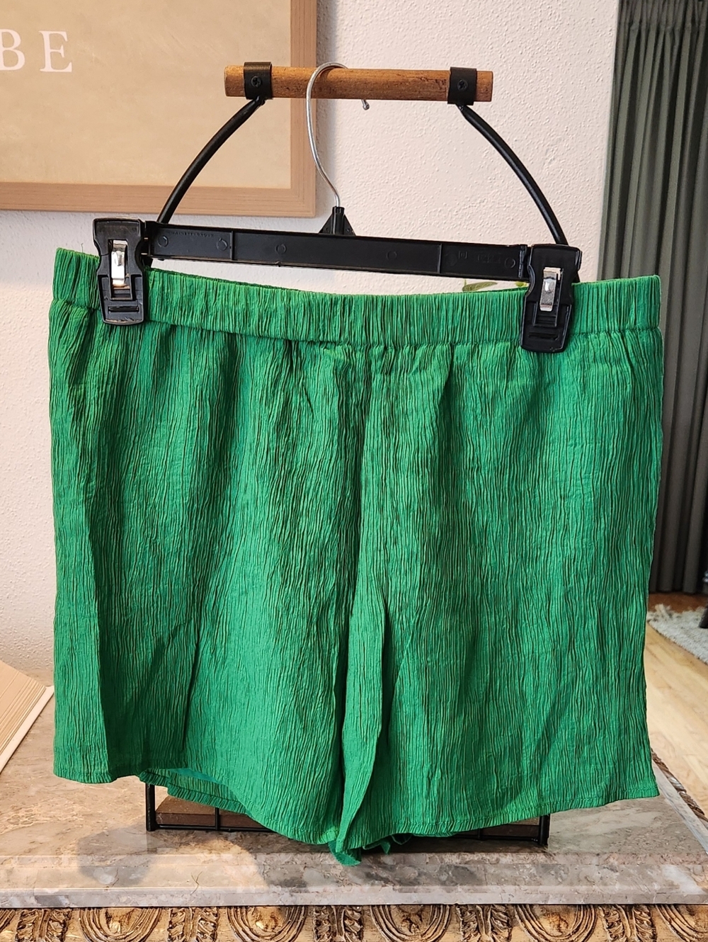 Women Shorts L
